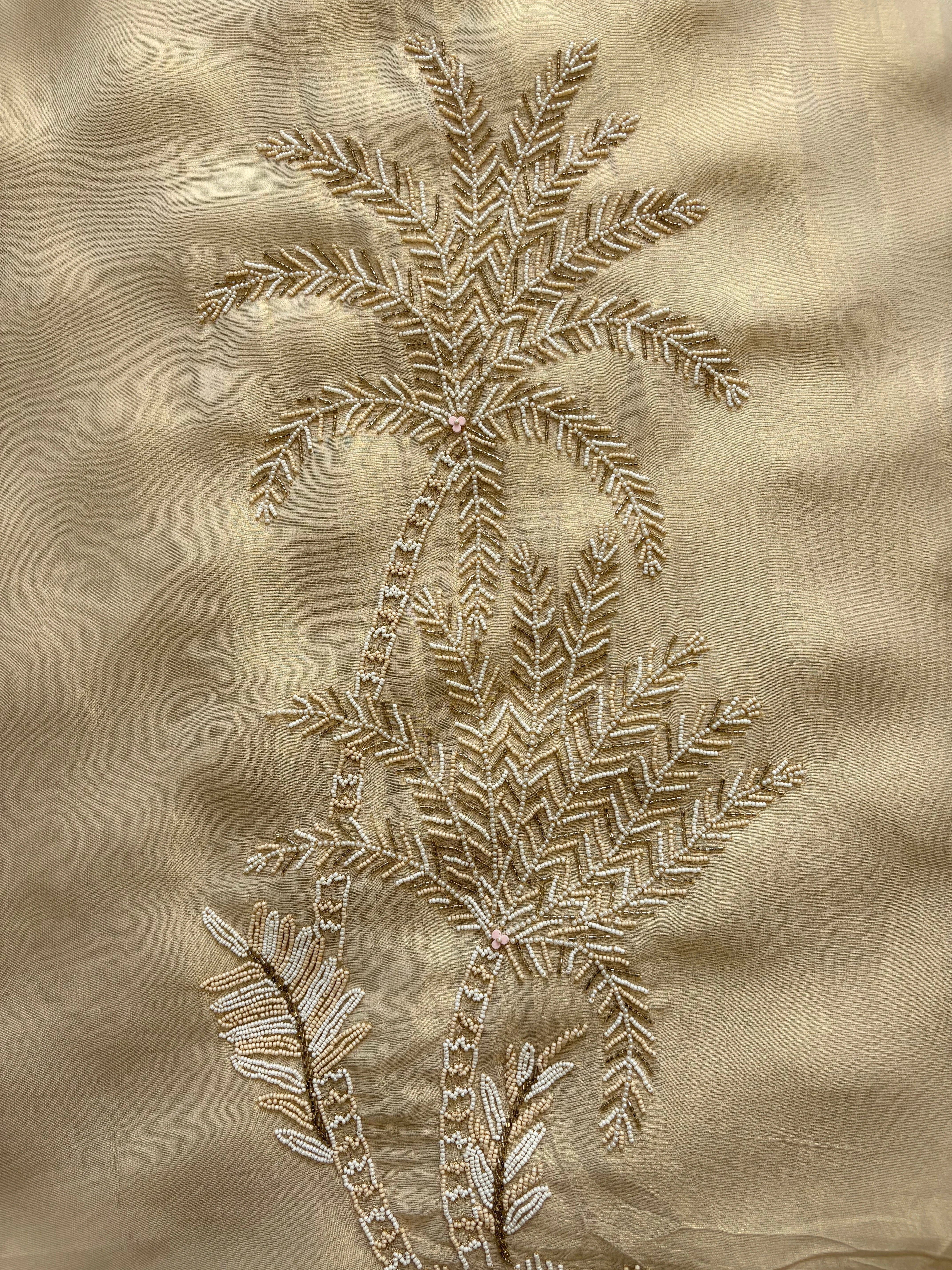 Shimmer Organza Suit with Banarasi Jacquard Dupatta